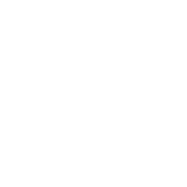 Ant.Finances-LogoBlanco